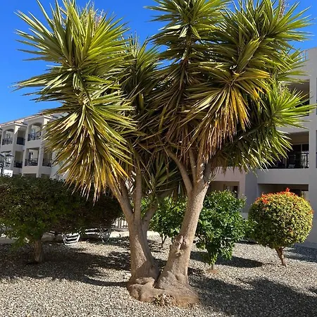 Royal Seacrest New B G2 Ground Floor *